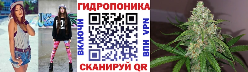 Купить наркотик аптеки Петрозаводск Канабис  Cocaine  Гашиш  Меф мяу мяу 