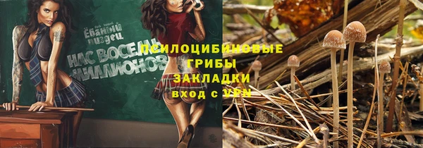 прущая мука Верея