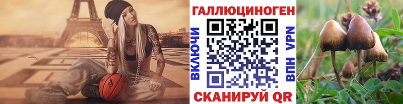 Галлюциногенные грибы Psilocybine cubensis  купить закладку  Петрозаводск 